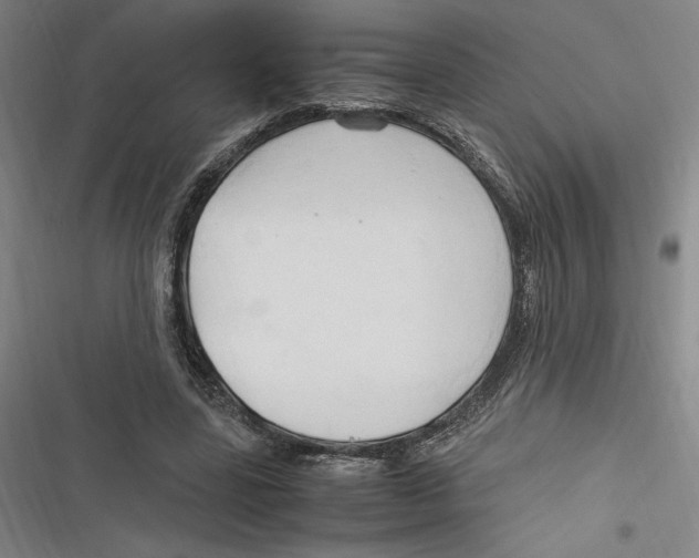 X0000116680539201001111334