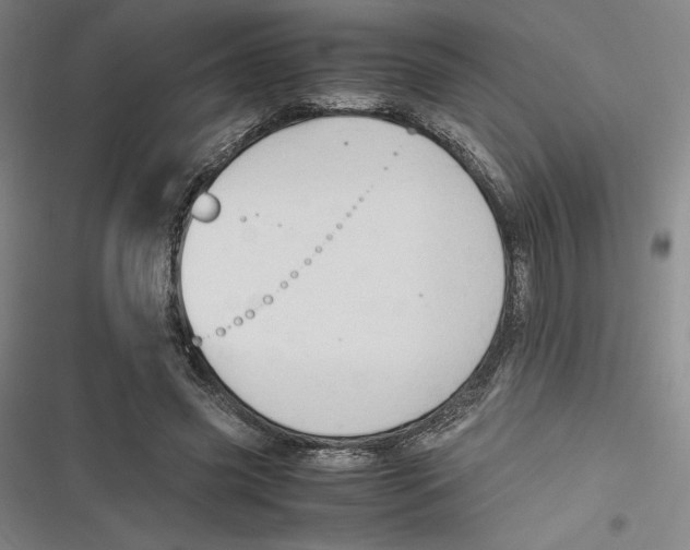 X0000116680541201001111334