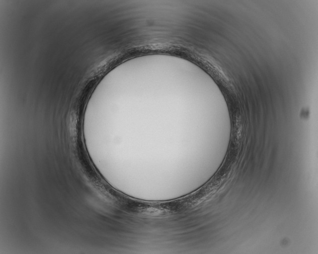 X0000116680542201001111334