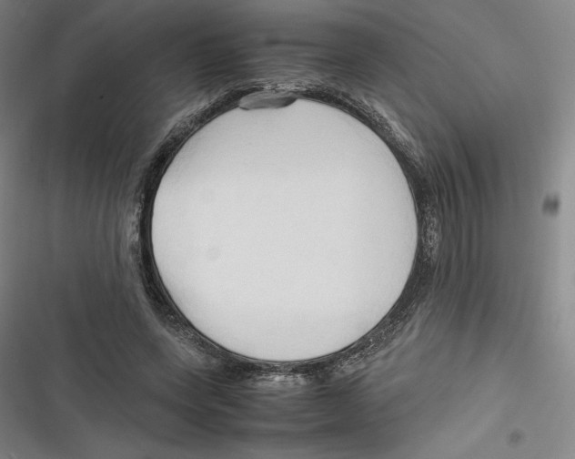 X0000116680543201001111334