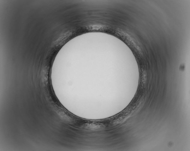 X0000116680545201001111334