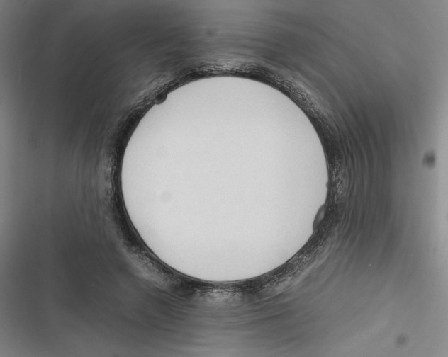 X0000116680546201001111334