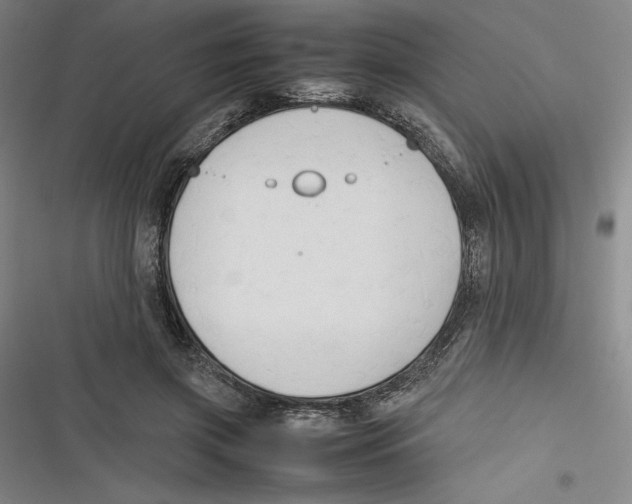 X0000116680549201001111334