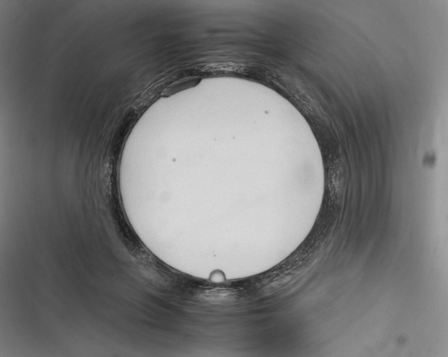 X0000116680551201001111334