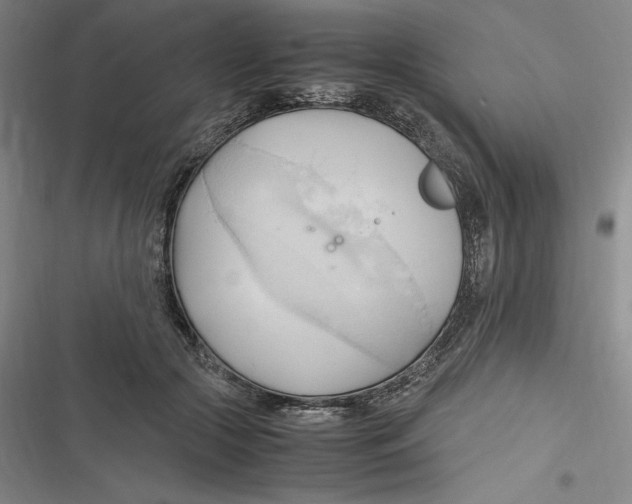 X0000116680553201001111334