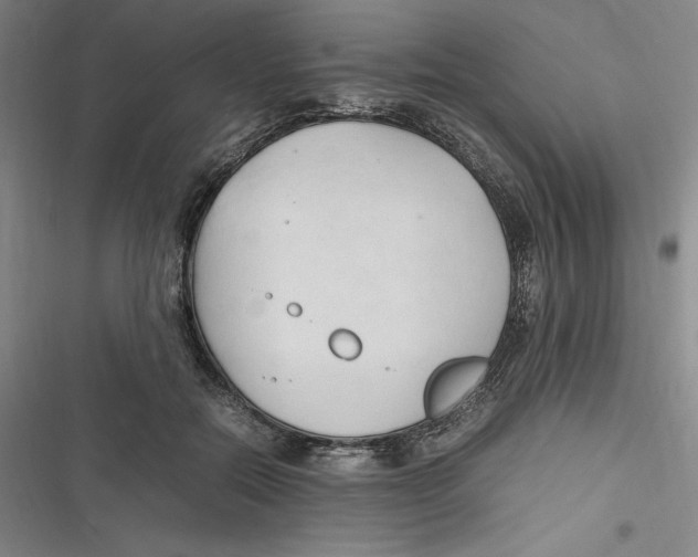 X0000116680554201001111334