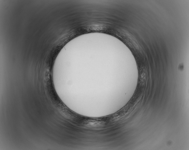 X0000116680555201001111334