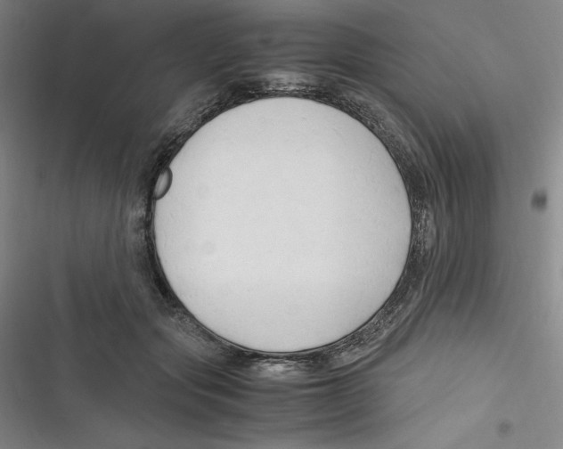 X0000116680557201001111334