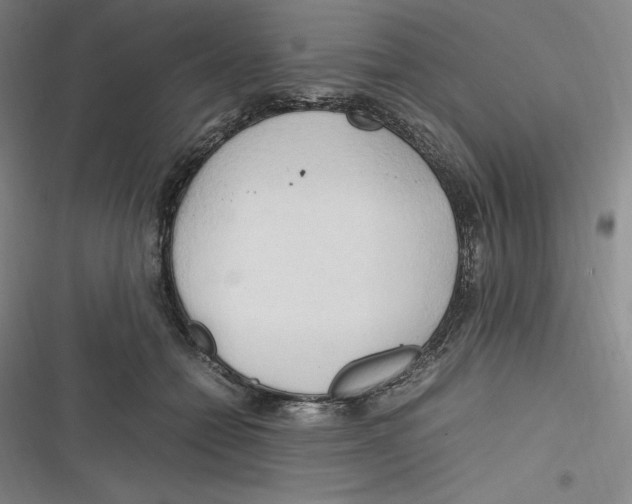 X0000116680558201001111334