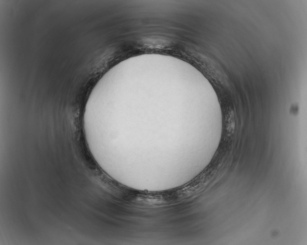 X0000116680559201001111334