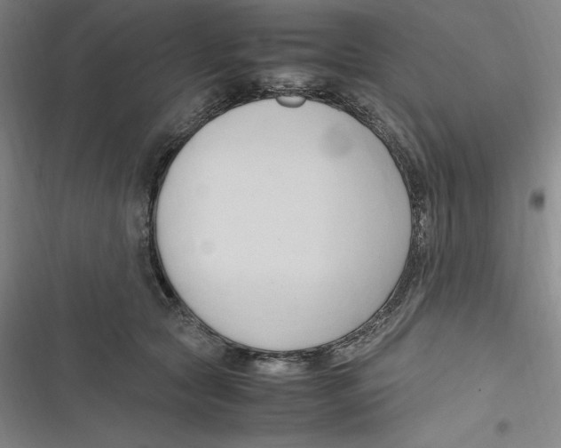 X0000116680561201001111334