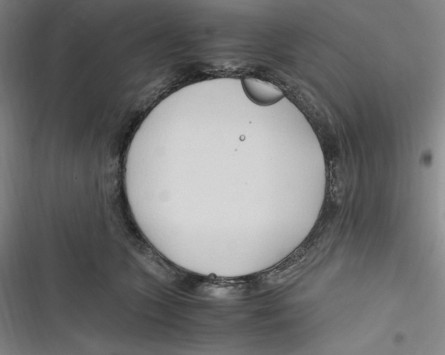 X0000116680563201001111334