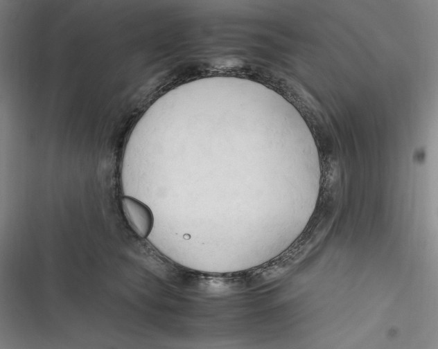 X0000116680565201001111334