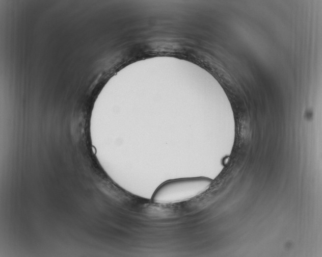 X0000116680567201001111334