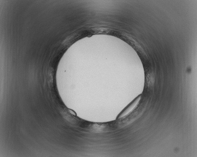 X0000116680570201001111334