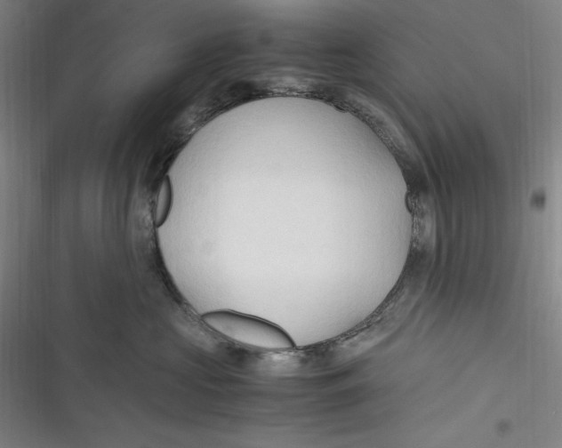 X0000116680573201001111334