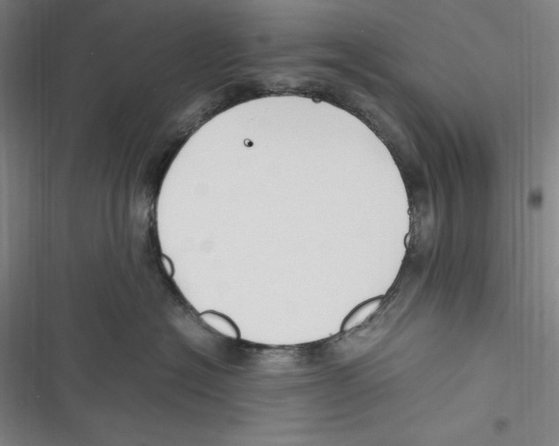 X0000116680574201001111334