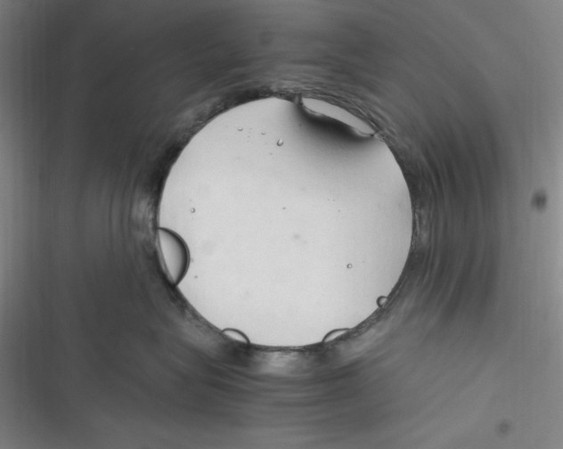 X0000116680575201001111334