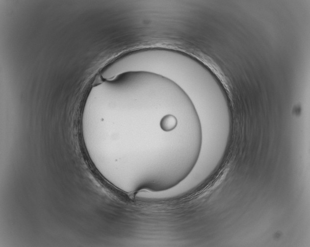 X0000116680577201001111334