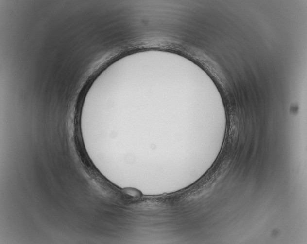 X0000116680578201001111334