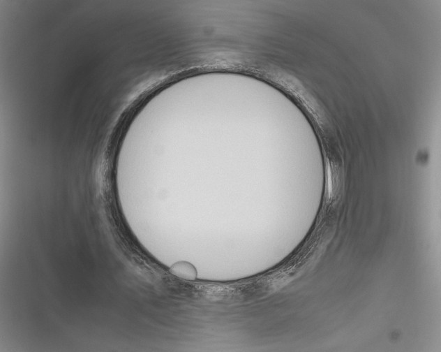 X0000116680579201001111333