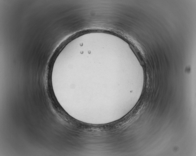 X0000116680580201001111333