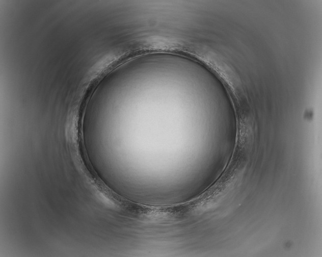 X0000116680581201001111333