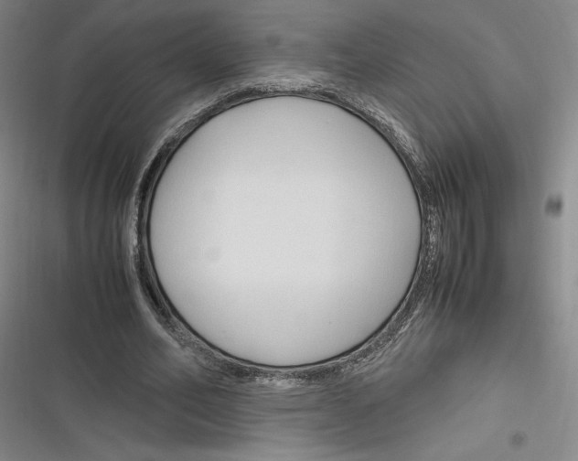 X0000116680582201001111333