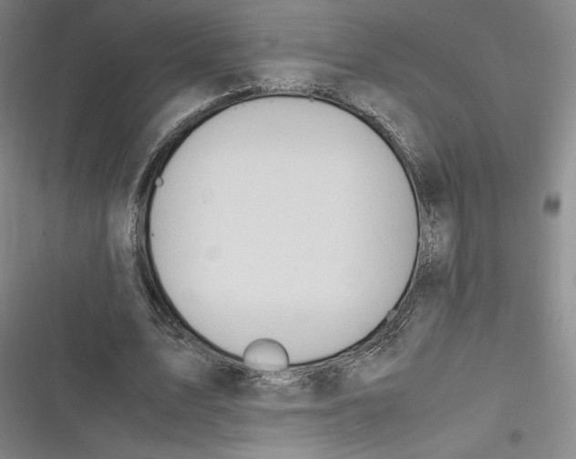 X0000116680583201001111333