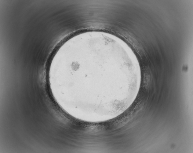 X0000116680584201001111333