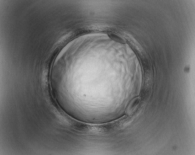 X0000116680585201001111333