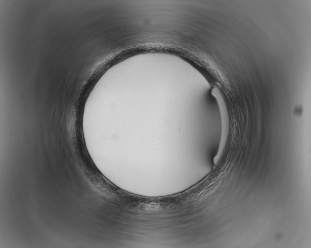 X0000116680588201001111333