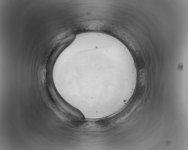 X0000116680589201001111333