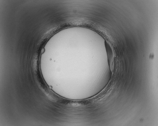 X0000116680590201001111333