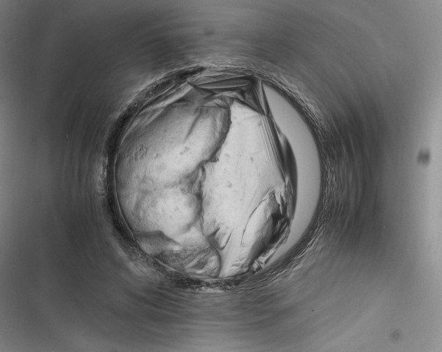 X0000116680592201001111333