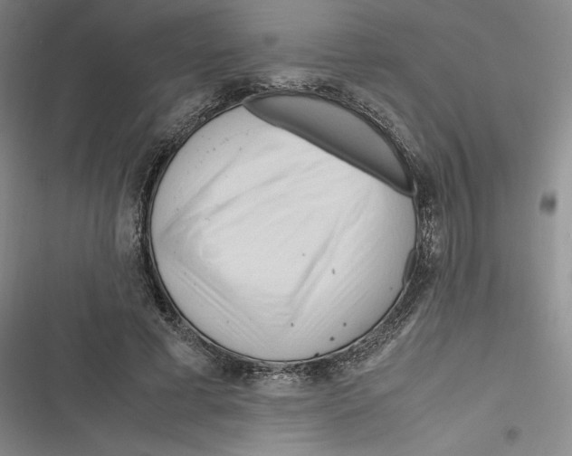 X0000116680593201001111333