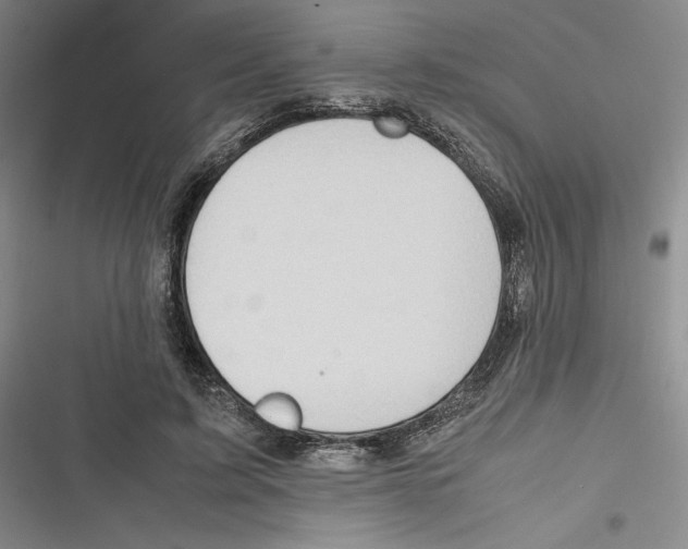 X0000116680595201001111333