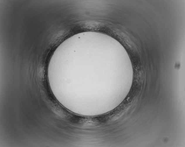 X0000116680597201001111333