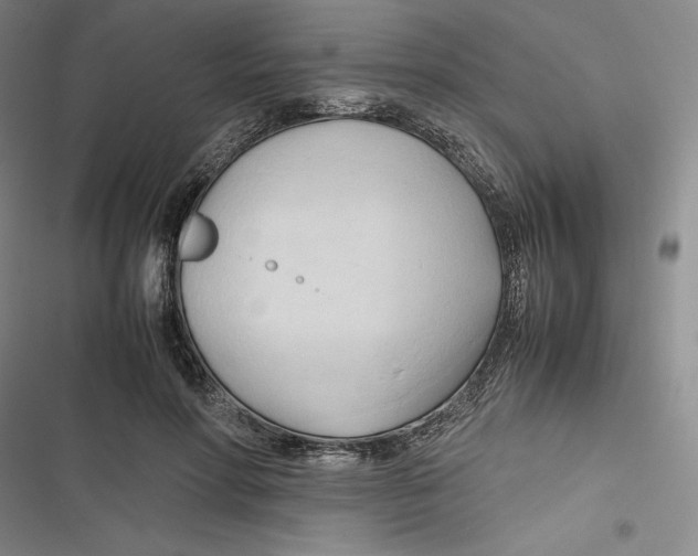 X0000116680598201001111333