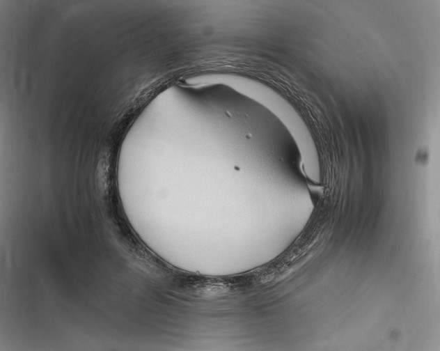 X0000116680600201001111333