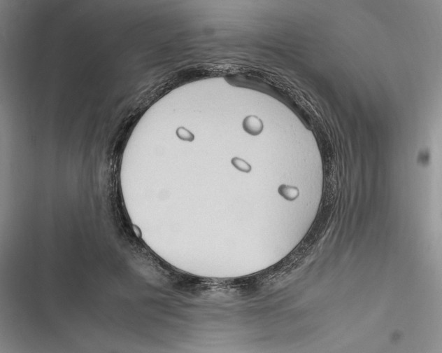 X0000116680601201001111333