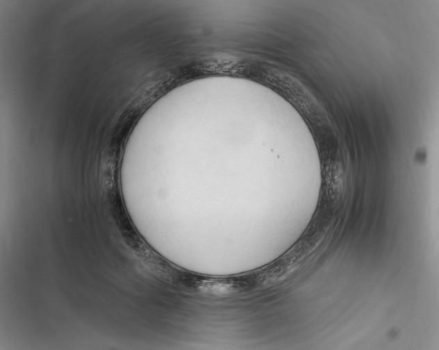 X0000116680602201001111333