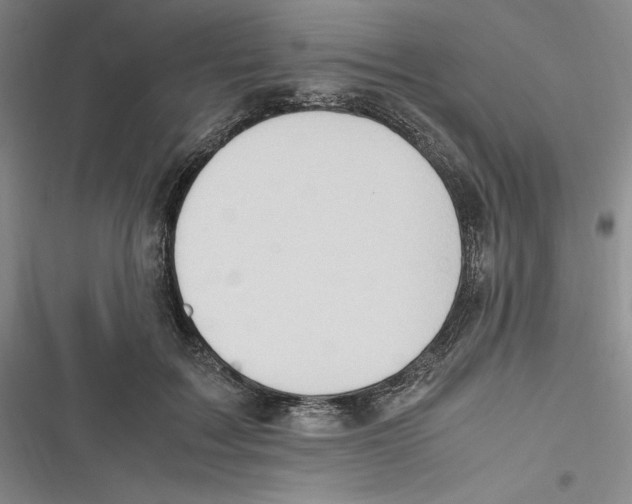 X0000116680603201001111333