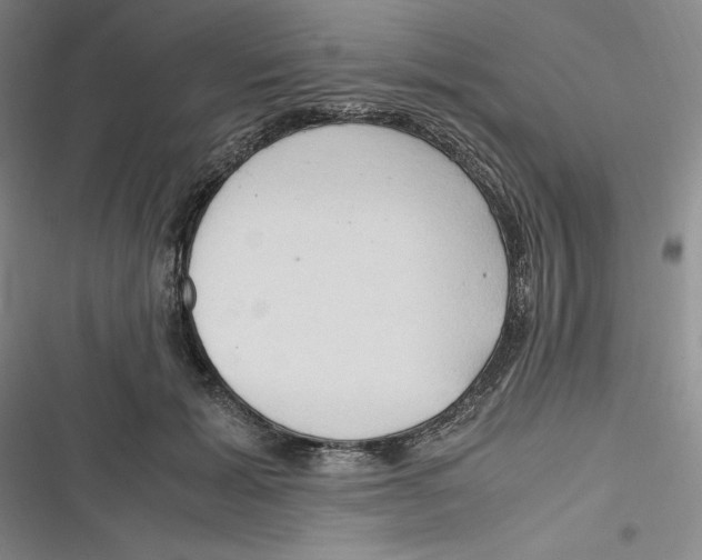 X0000116680605201001111333