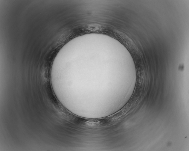 X0000116680606201001111333