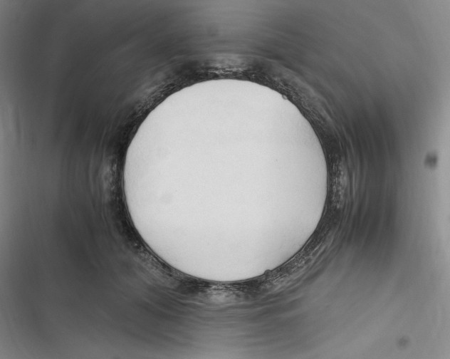 X0000116680608201001111333