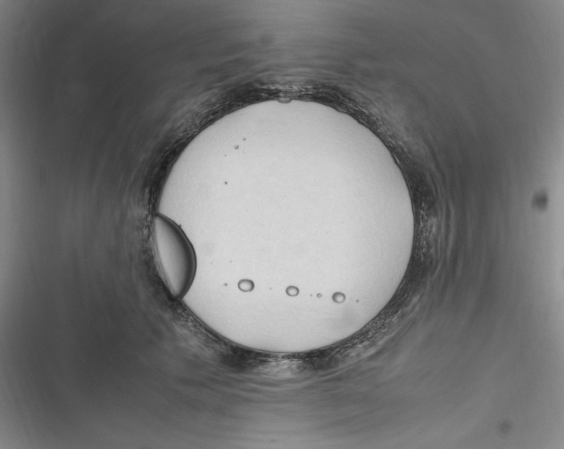 X0000116680609201001111333