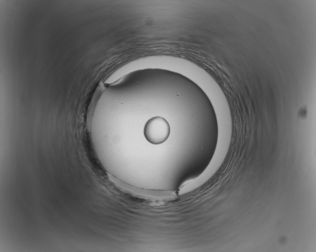 X0000116680611201001111333