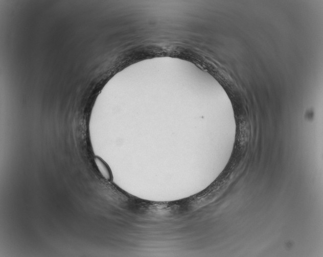 X0000116680613201001111333