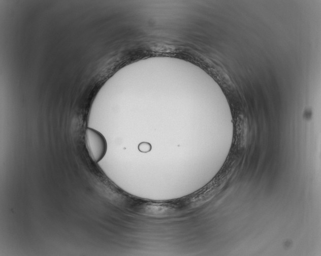 X0000116680614201001111333